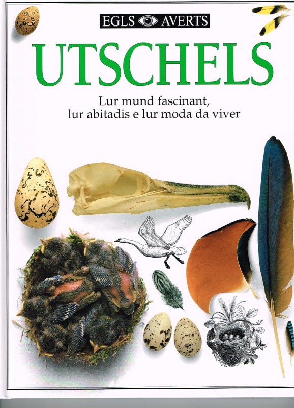 Buch