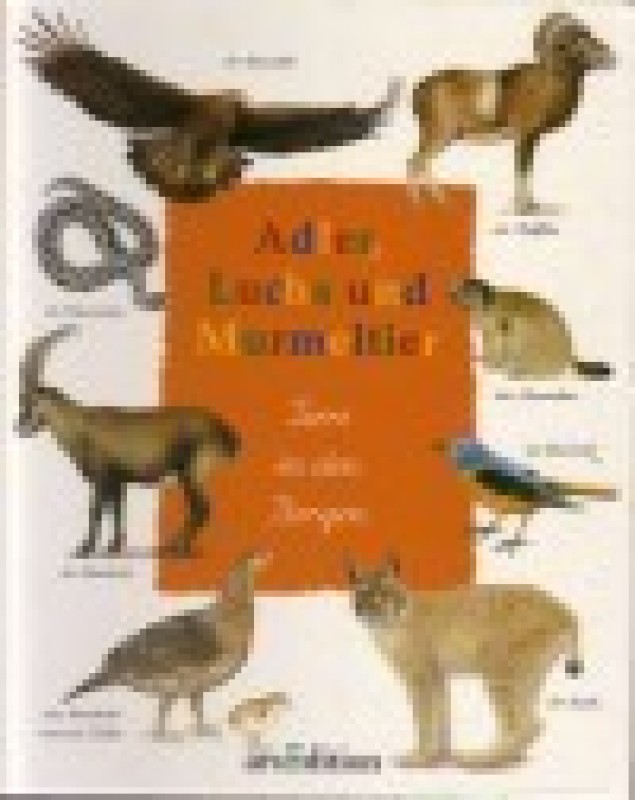 Buch