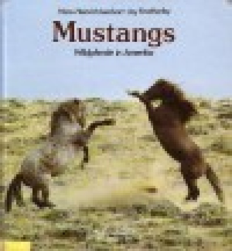 Buch