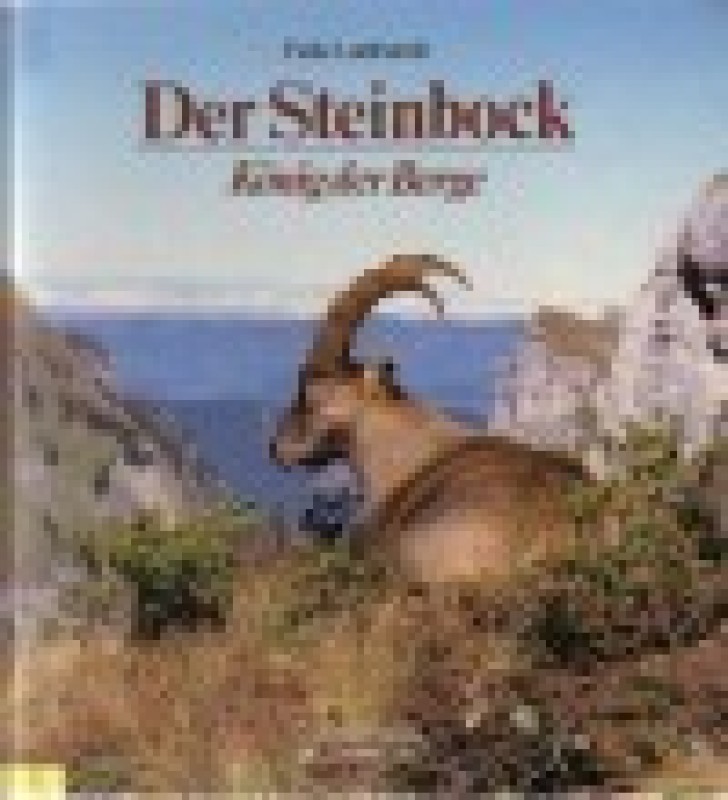 Buch