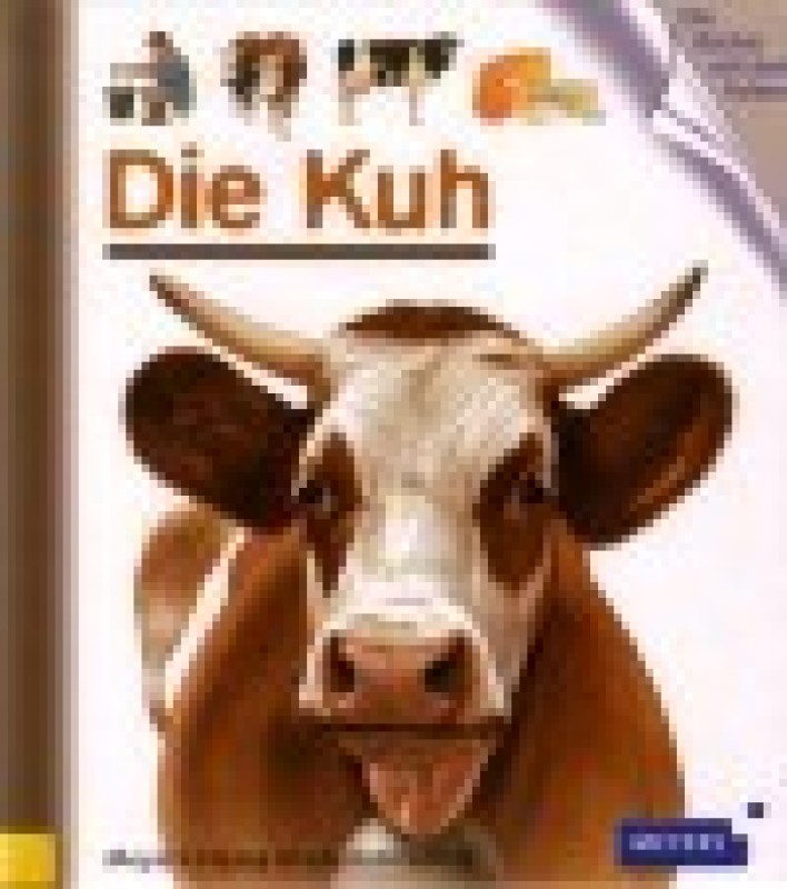 Buch