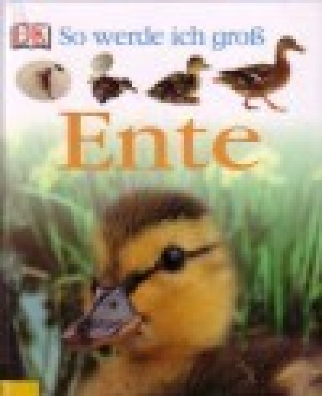 Buch
