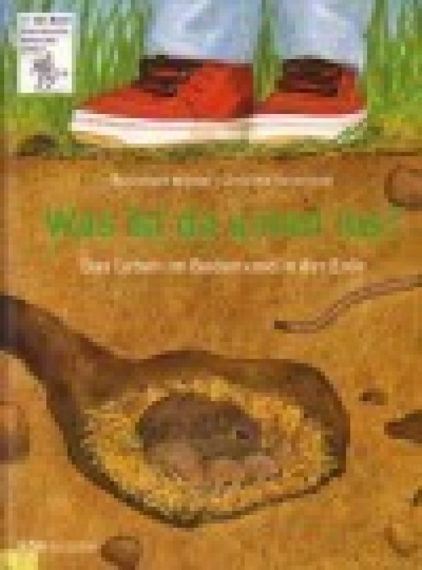 Buch