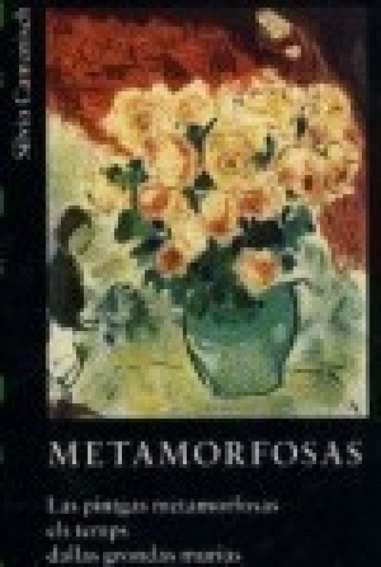 Buch