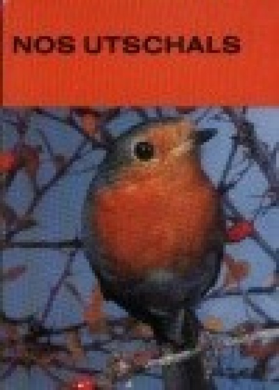 Buch