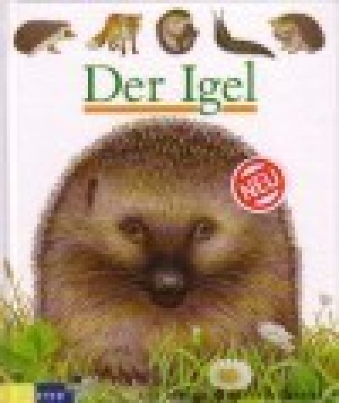 Buch