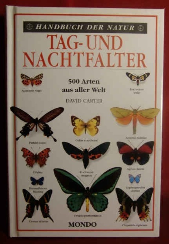 Buch