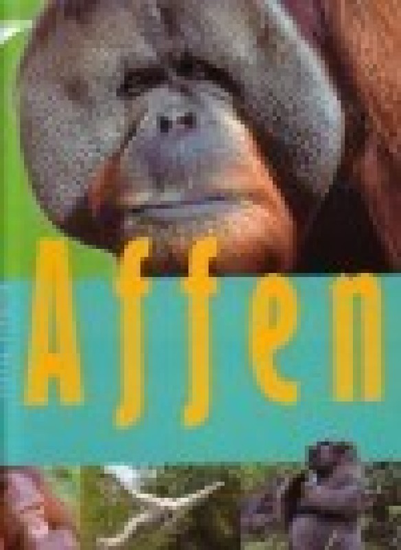 Buch