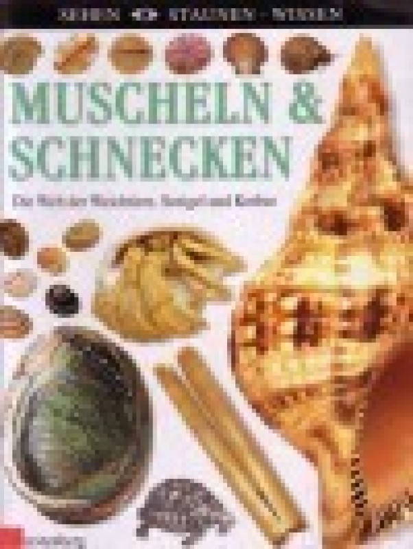 Buch