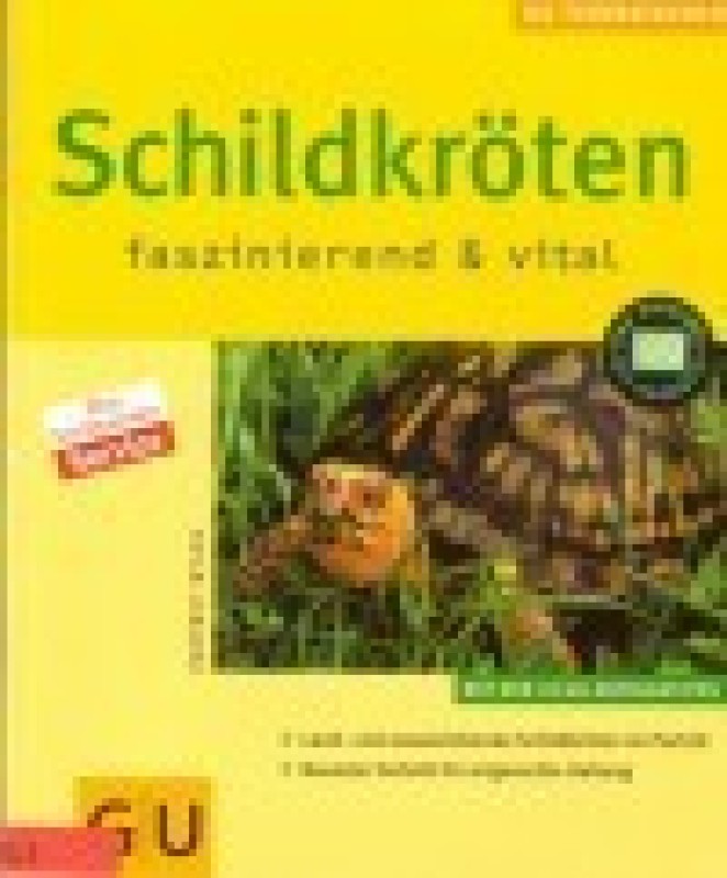 Buch