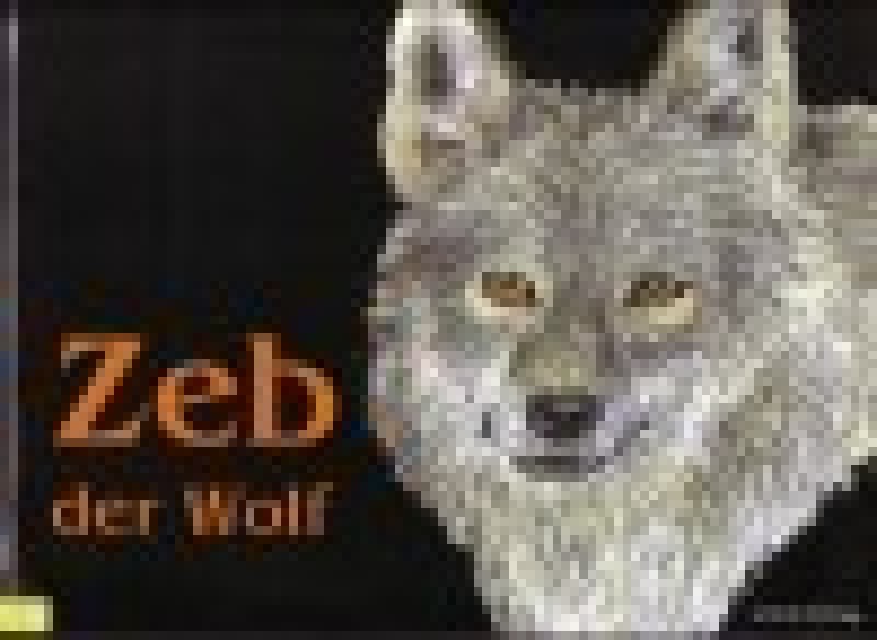 Buch