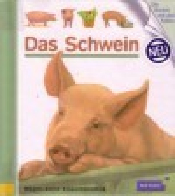 Buch