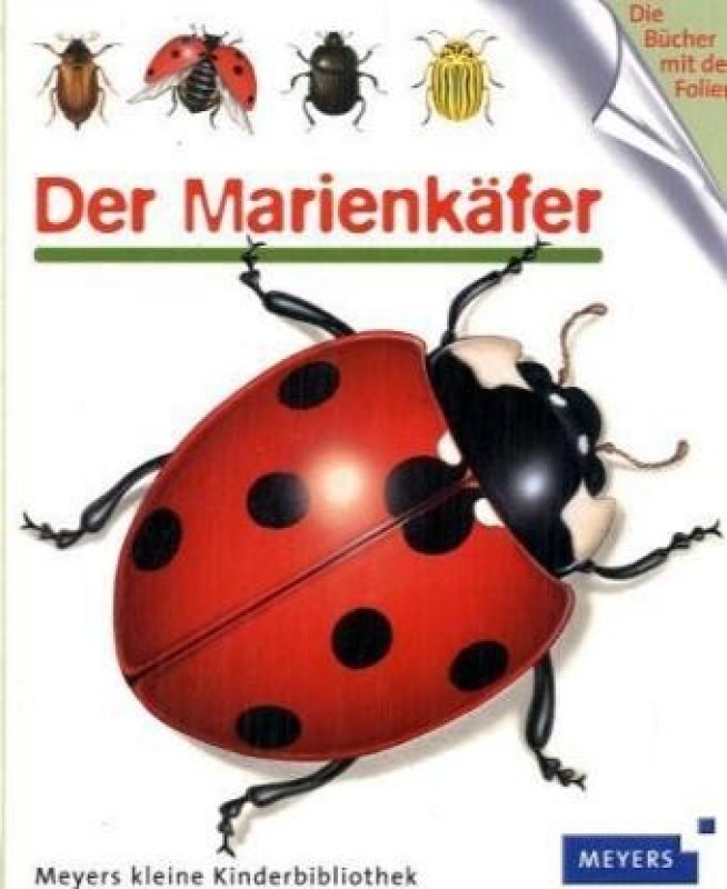 Buch
