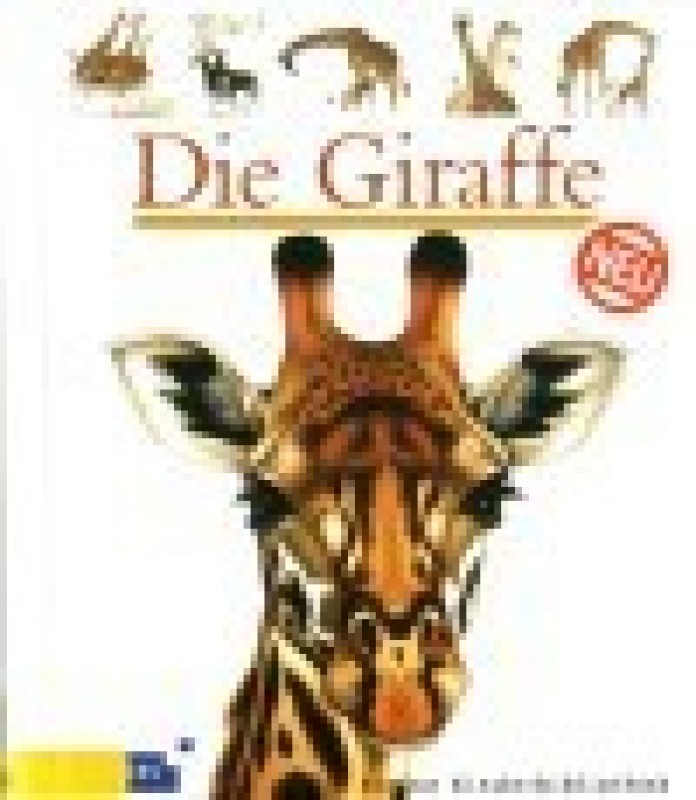Buch