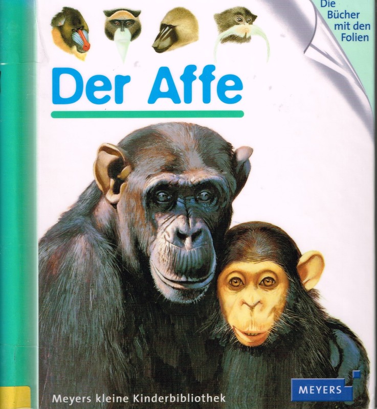 Buch