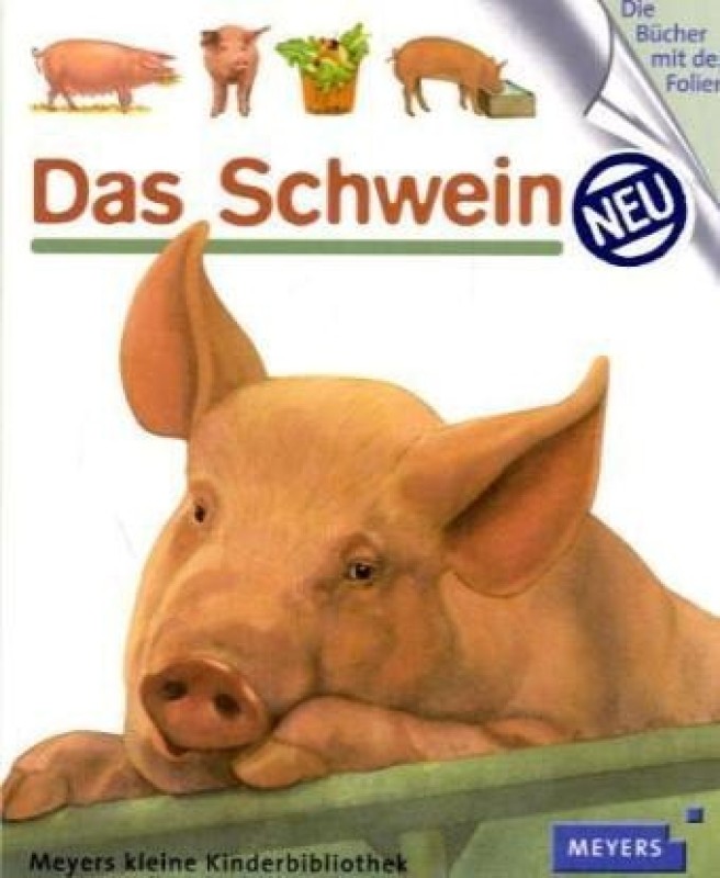 Buch