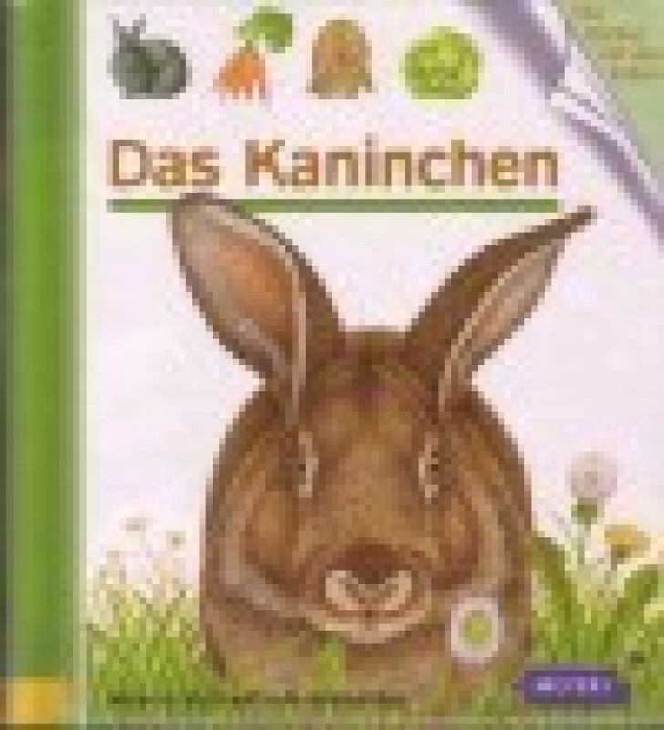 Buch
