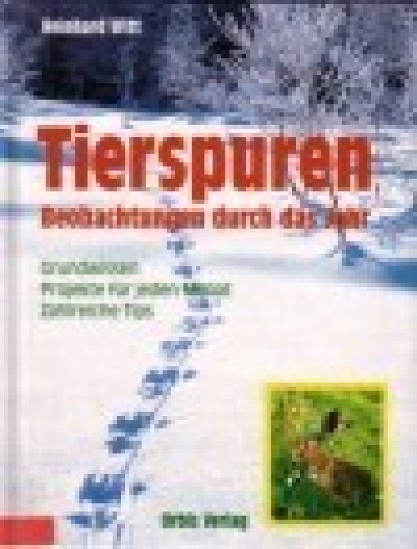 Buch