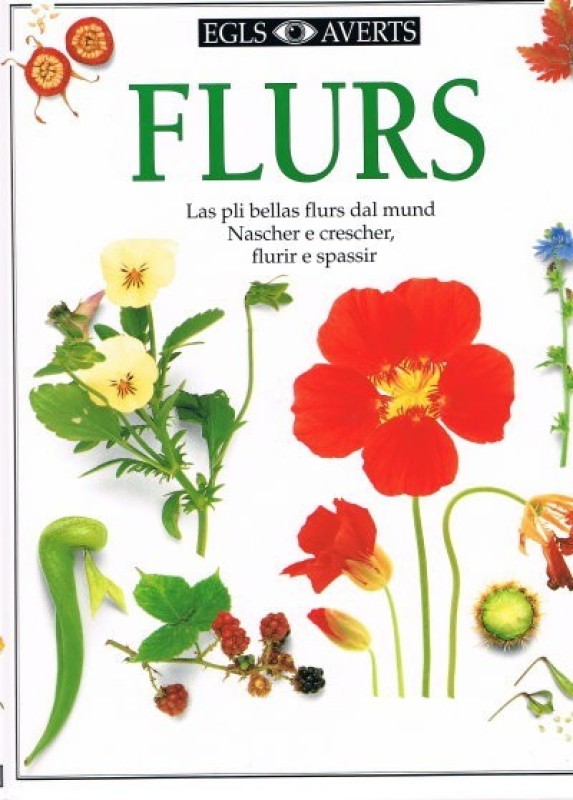 Buch
